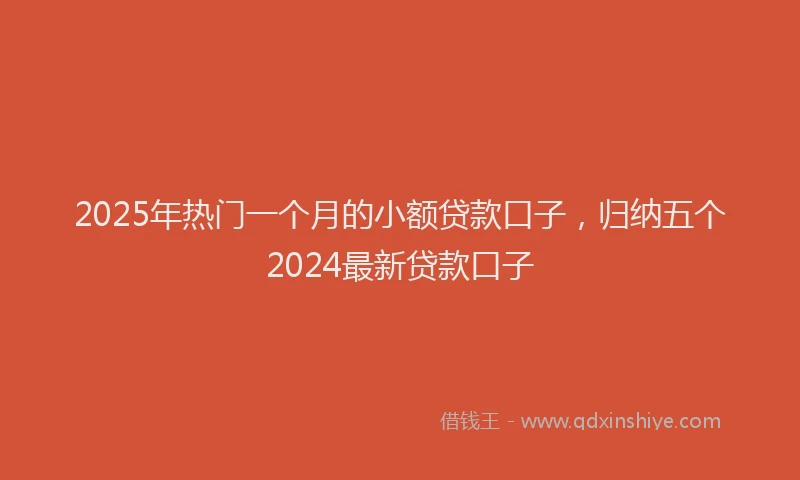 2025年热门一个月的小额贷款口子，归纳五个2024最新贷款口子