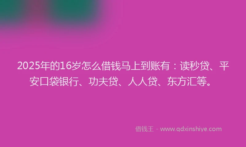2025年的16岁怎么借钱马上到账有：读秒贷、平安口袋银行、功夫贷、人人贷、东方汇等。