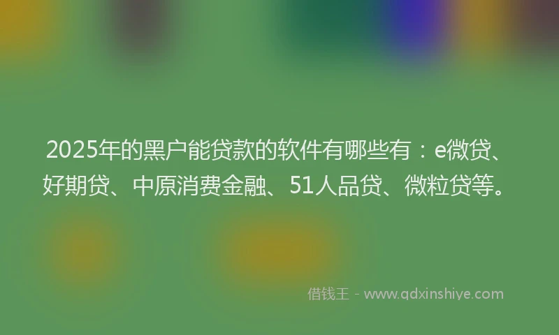 2025年的黑户能贷款的软件有哪些有：e微贷、好期贷、中原消费金融、51人品贷、微粒贷等。