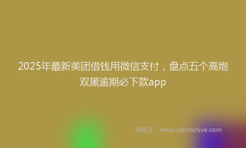 2025年最新美团借钱用微信支付，盘点五个高炮双黑逾期必下款app