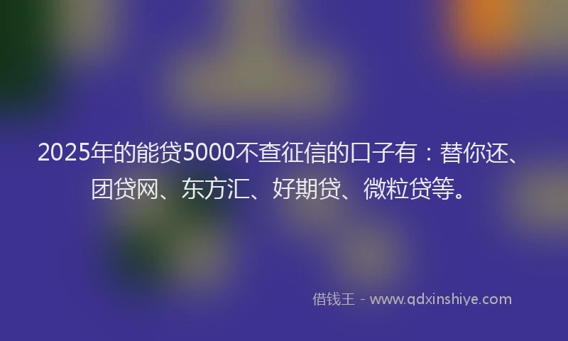 2025年的能贷5000不查征信的口子有：替你还、团贷网、东方汇、好期贷、微粒贷等。