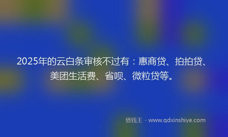 2025年的云白条审核不过有：惠商贷、拍拍贷、美团生活费、省呗、微粒贷等。