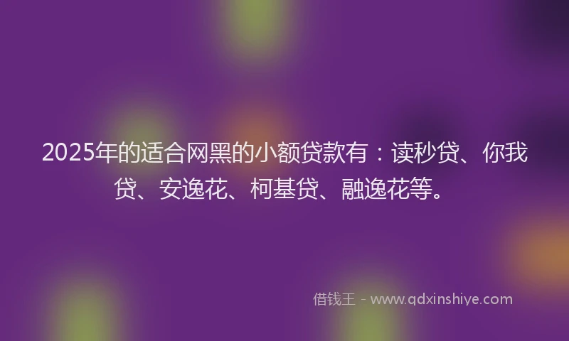2025年的适合网黑的小额贷款有：读秒贷、你我贷、安逸花、柯基贷、融逸花等。
