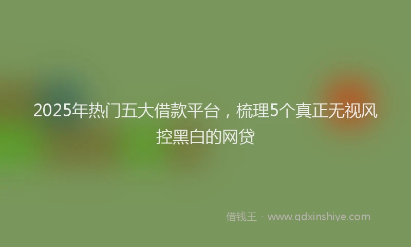 2025年热门五大借款平台，梳理5个真正无视风控黑白的网贷