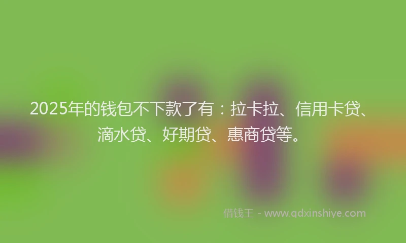 2025年的钱包不下款了有：拉卡拉、信用卡贷、滴水贷、好期贷、惠商贷等。
