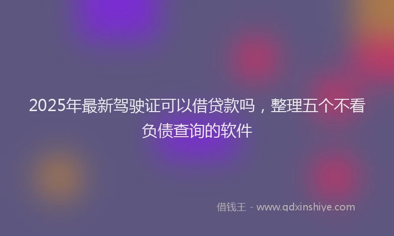 2025年最新驾驶证可以借贷款吗，整理五个不看负债查询的软件