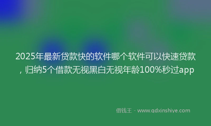 2025年最新贷款快的软件哪个软件可以快速贷款，归纳5个借款无视黑白无视年龄100%秒过app