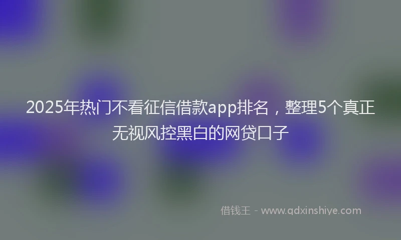 2025年热门不看征信借款app排名，整理5个真正无视风控黑白的网贷口子