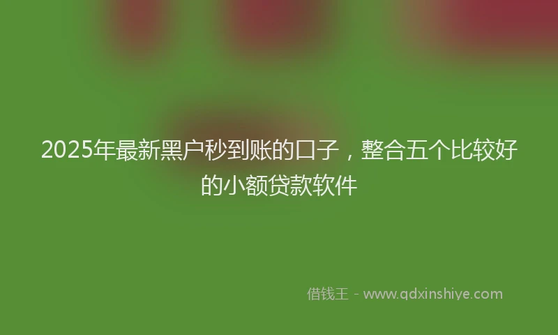 2025年最新黑户秒到账的口子，整合五个比较好的小额贷款软件