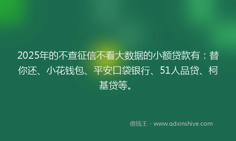 2025年的不查征信不看大数据的小额贷款有：替你还、小花钱包、平安口袋银行、51人品贷、柯基贷等。