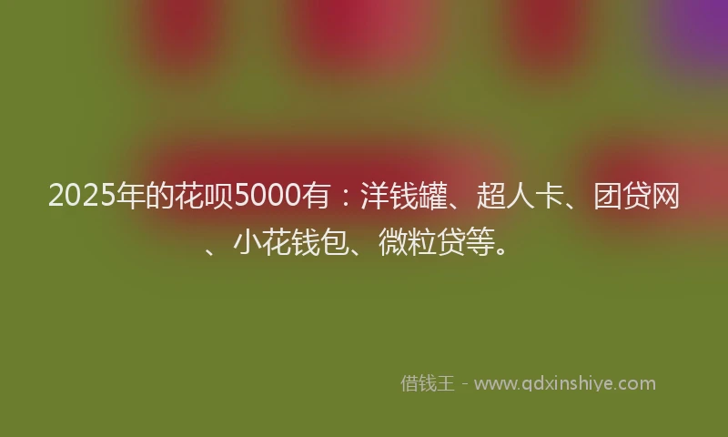 2025年的花呗5000有：洋钱罐、超人卡、团贷网、小花钱包、微粒贷等。