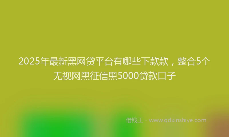 2025年最新黑网贷平台有哪些下款款，整合5个无视网黑征信黑5000贷款口子