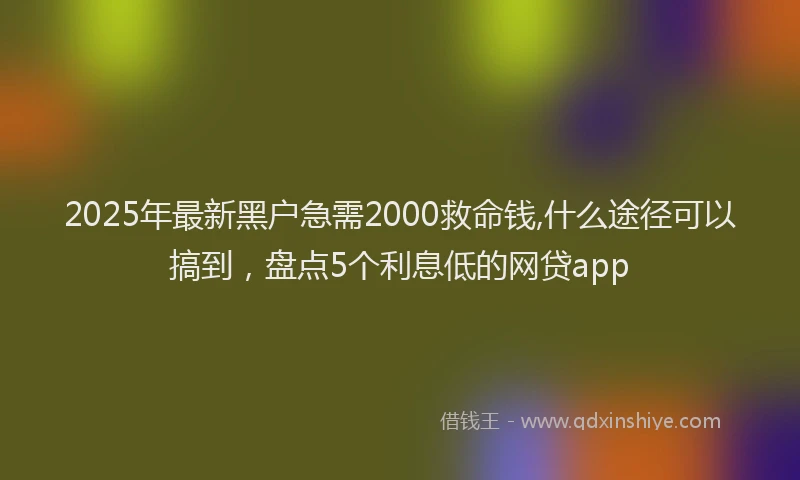 2025年最新黑户急需2000救命钱,什么途径可以搞到，盘点5个利息低的网贷app