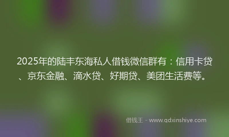 2025年的陆丰东海私人借钱微信群有：信用卡贷、京东金融、滴水贷、好期贷、美团生活费等。