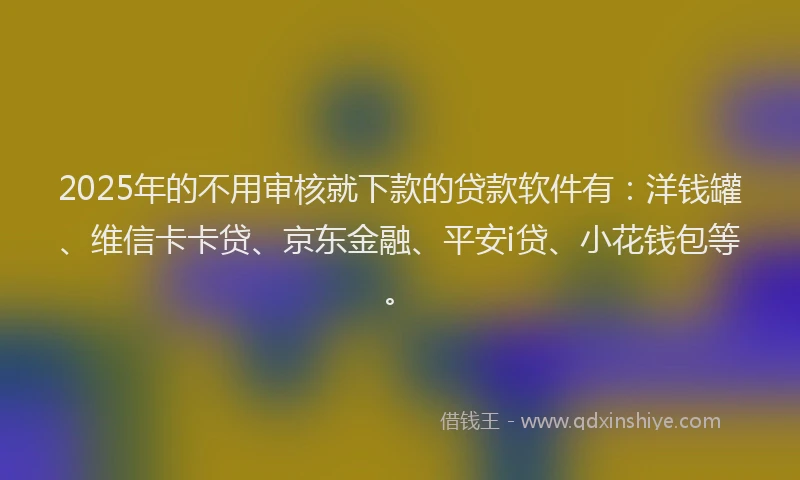 2025年的不用审核就下款的贷款软件有：洋钱罐、维信卡卡贷、京东金融、平安i贷、小花钱包等。