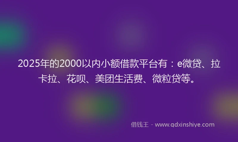 2025年的2000以内小额借款平台有：e微贷、拉卡拉、花呗、美团生活费、微粒贷等。