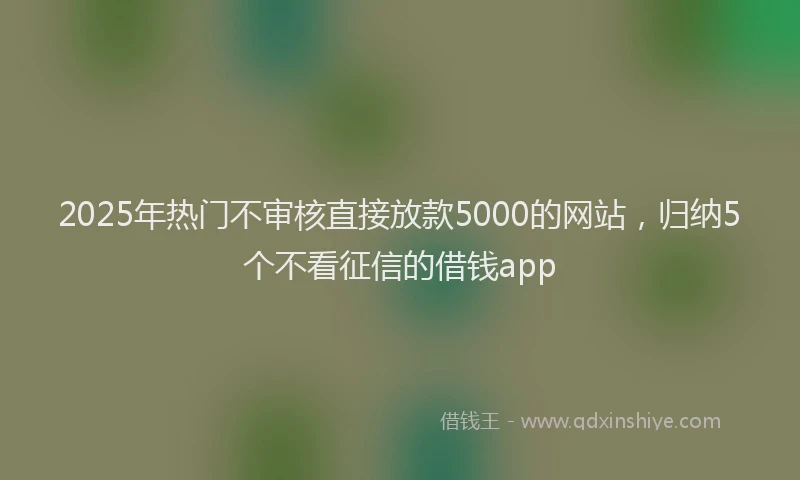 2025年热门不审核直接放款5000的网站，归纳5个不看征信的借钱app