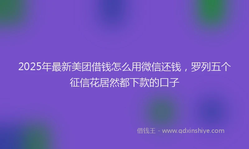 2025年最新美团借钱怎么用微信还钱，罗列五个征信花居然都下款的口子