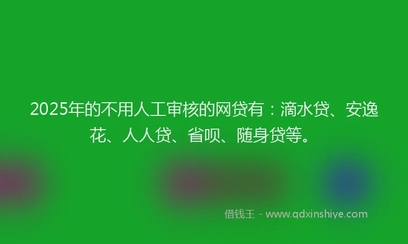 2025年的不用人工审核的网贷有：滴水贷、安逸花、人人贷、省呗、随身贷等。