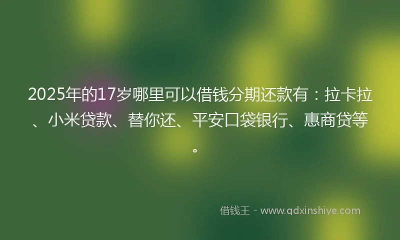 2025年的17岁哪里可以借钱分期还款有：拉卡拉、小米贷款、替你还、平安口袋银行、惠商贷等。