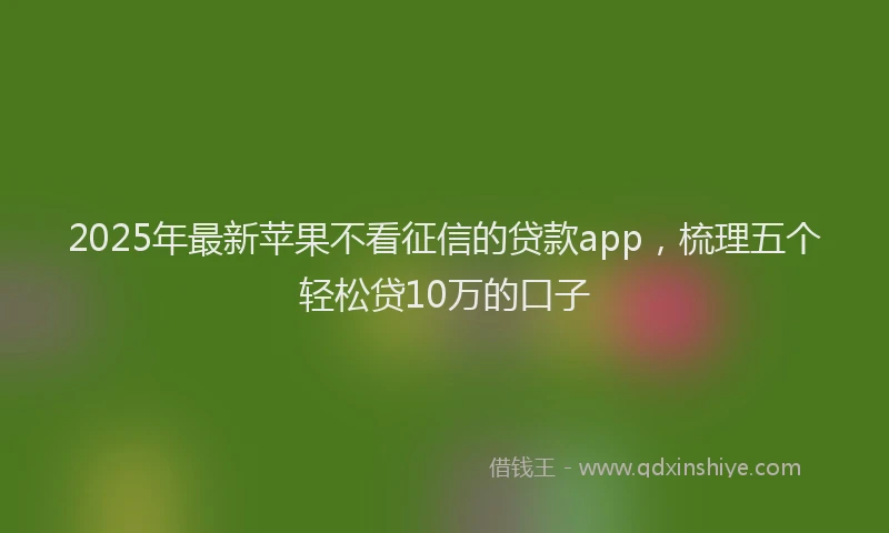 2025年最新苹果不看征信的贷款app，梳理五个轻松贷10万的口子