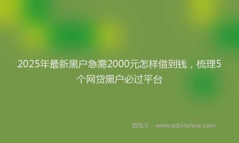 2025年最新黑户急需2000元怎样借到钱，梳理5个网贷黑户必过平台