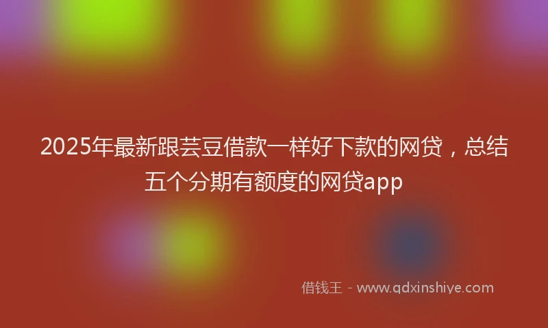2025年最新跟芸豆借款一样好下款的网贷，总结五个分期有额度的网贷app