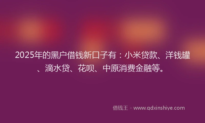 2025年的黑户借钱新口子有：小米贷款、洋钱罐、滴水贷、花呗、中原消费金融等。
