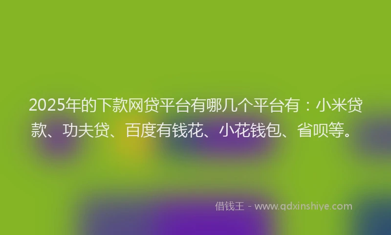 2025年的下款网贷平台有哪几个平台有：小米贷款、功夫贷、百度有钱花、小花钱包、省呗等。