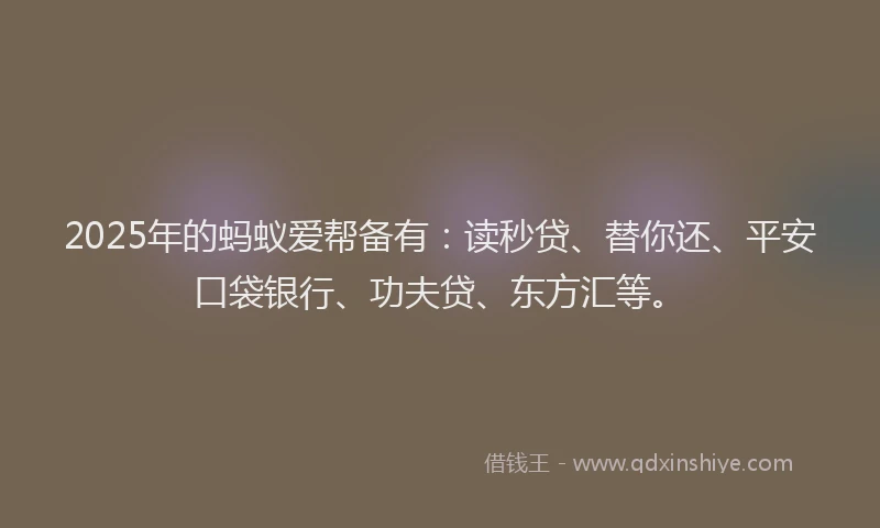 2025年的蚂蚁爱帮备有：读秒贷、替你还、平安口袋银行、功夫贷、东方汇等。