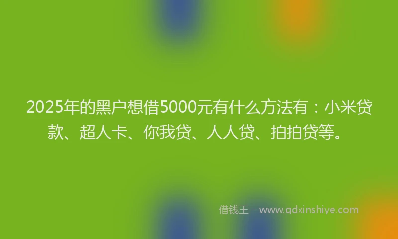 2025年的黑户想借5000元有什么方法有：小米贷款、超人卡、你我贷、人人贷、拍拍贷等。