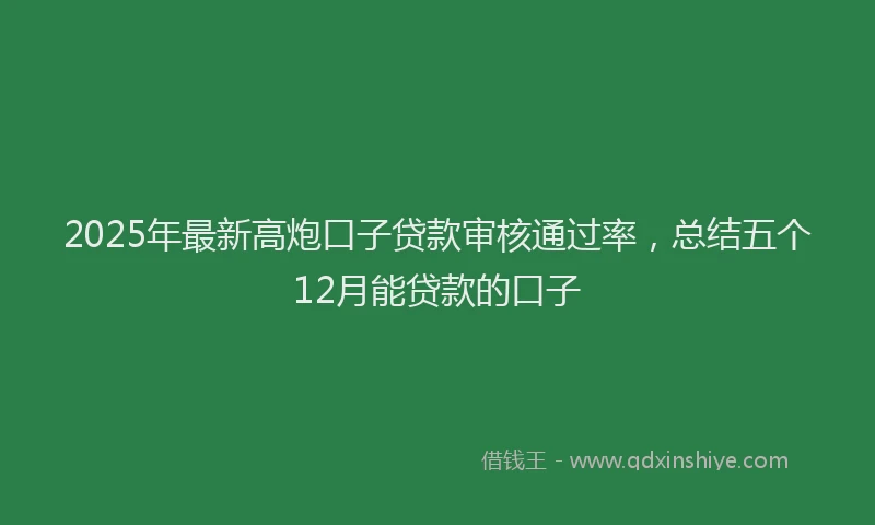 2025年最新高炮口子贷款审核通过率，总结五个12月能贷款的口子