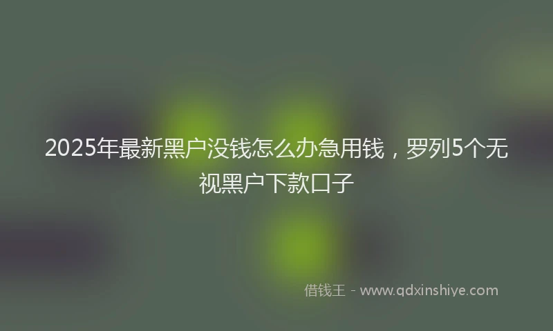 2025年最新黑户没钱怎么办急用钱，罗列5个无视黑户下款口子
