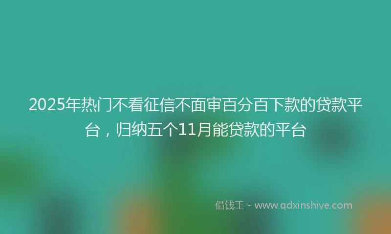 2025年热门不看征信不面审百分百下款的贷款平台，归纳五个11月能贷款的平台
