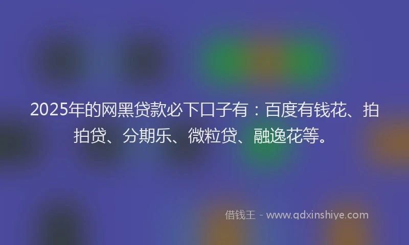 2025年的网黑贷款必下口子有：百度有钱花、拍拍贷、分期乐、微粒贷、融逸花等。