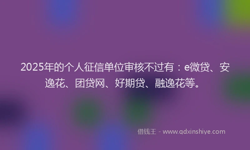 2025年的个人征信单位审核不过有：e微贷、安逸花、团贷网、好期贷、融逸花等。