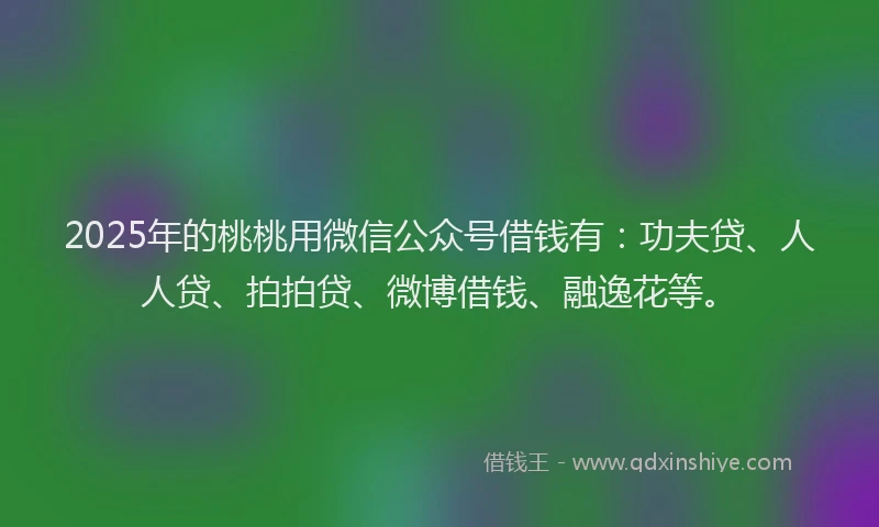 2025年的桃桃用微信公众号借钱有：功夫贷、人人贷、拍拍贷、微博借钱、融逸花等。