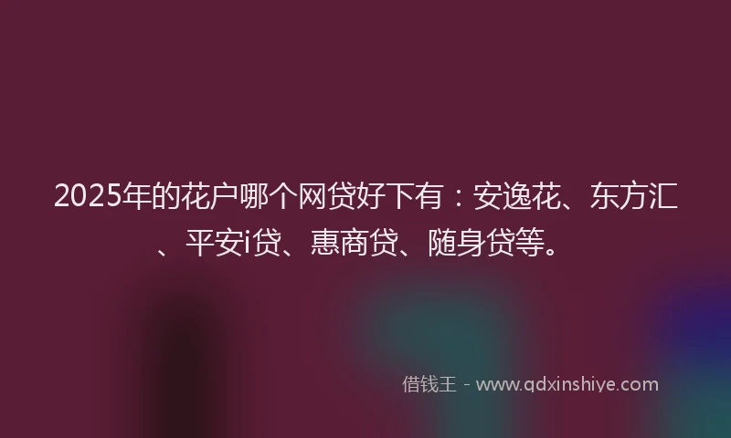 2025年的花户哪个网贷好下有：安逸花、东方汇、平安i贷、惠商贷、随身贷等。