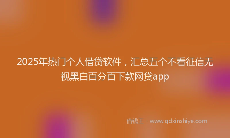 2025年热门个人借贷软件，汇总五个不看征信无视黑白百分百下款网贷app