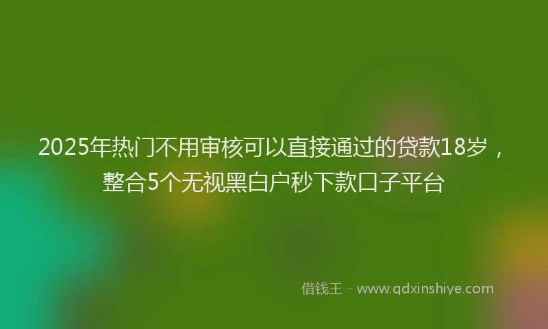 2025年热门不用审核可以直接通过的贷款18岁，整合5个无视黑白户秒下款口子平台