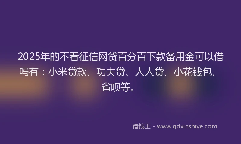 2025年的不看征信网贷百分百下款备用金可以借吗有：小米贷款、功夫贷、人人贷、小花钱包、省呗等。