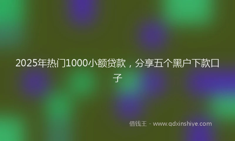2025年热门1000小额贷款，分享五个黑户下款口子