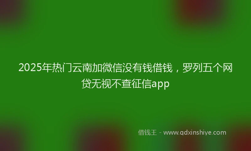2025年热门云南加微信没有钱借钱，罗列五个网贷无视不查征信app