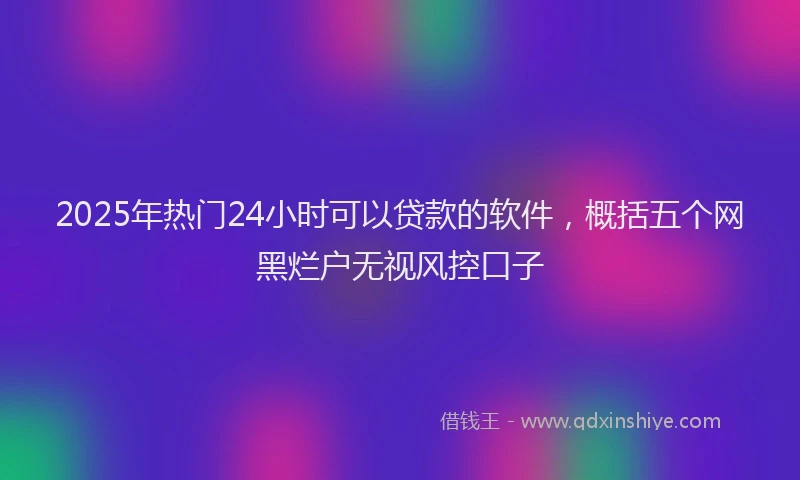 2025年热门24小时可以贷款的软件，概括五个网黑烂户无视风控口子
