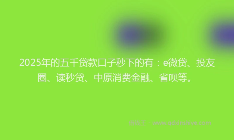 2025年的五千贷款口子秒下的有：e微贷、投友圈、读秒贷、中原消费金融、省呗等。