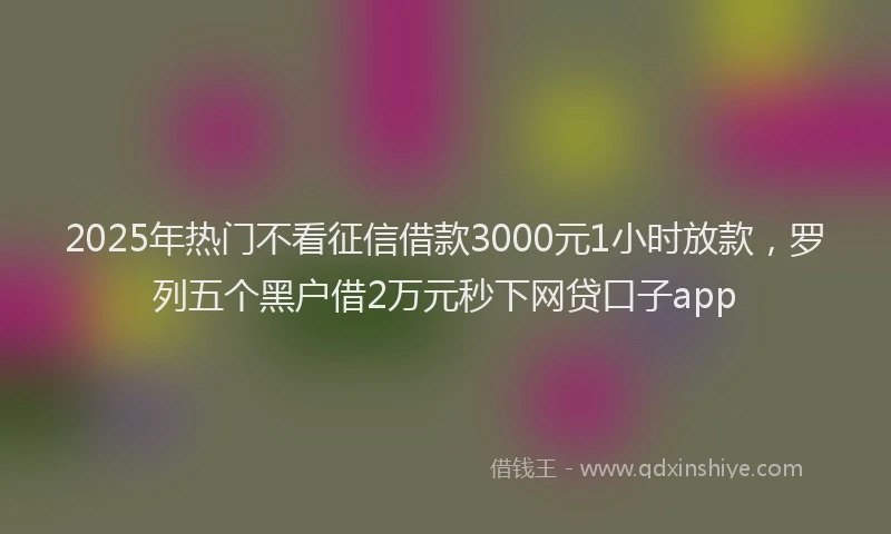 2025年热门不看征信借款3000元1小时放款，罗列五个黑户借2万元秒下网贷口子app