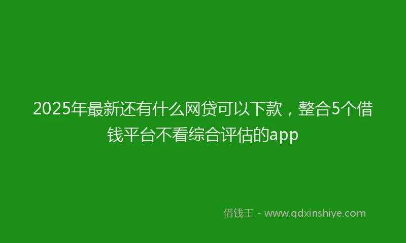 2025年最新还有什么网贷可以下款，整合5个借钱平台不看综合评估的app