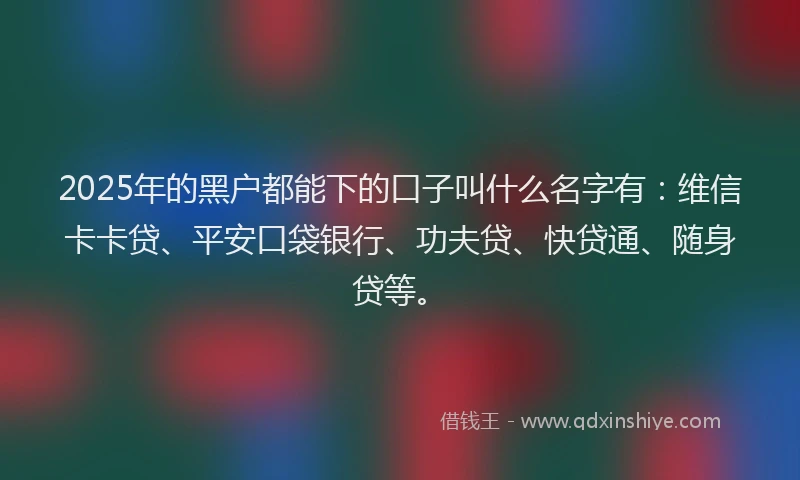 2025年的黑户都能下的口子叫什么名字有：维信卡卡贷、平安口袋银行、功夫贷、快贷通、随身贷等。