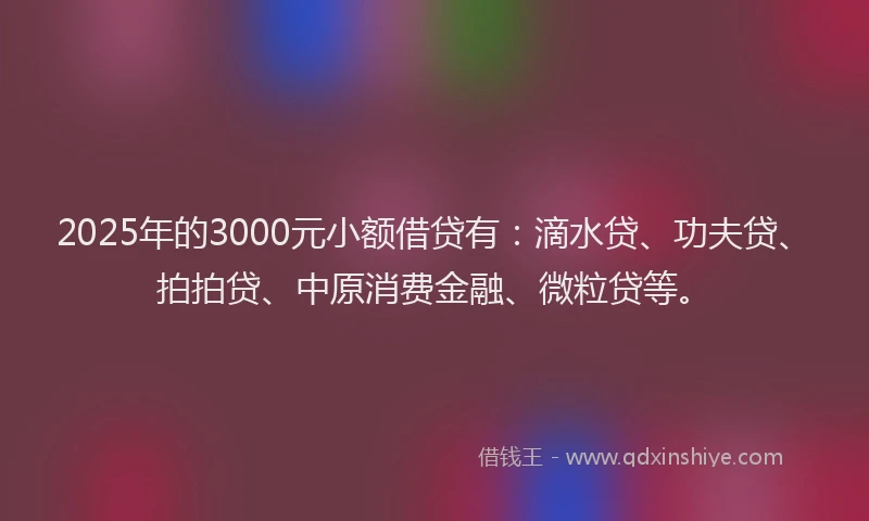 2025年的3000元小额借贷有：滴水贷、功夫贷、拍拍贷、中原消费金融、微粒贷等。