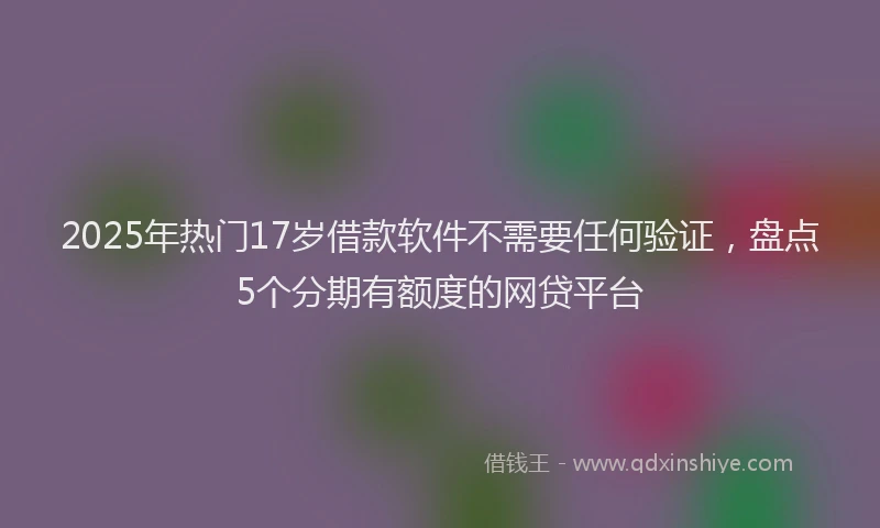 2025年热门17岁借款软件不需要任何验证，盘点5个分期有额度的网贷平台